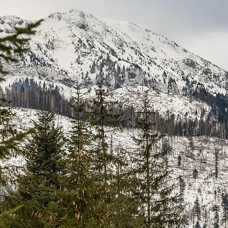 Twoja Chata Apartament Pod Lasem Zarezerwuj Na Podhalami Pl Kościelisko Esterno foto